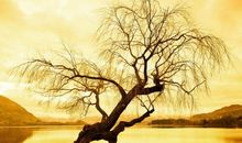 秋天的句子短句唯美