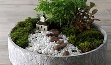 引出亲情的优美句子