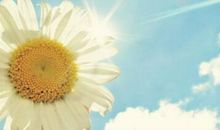 经典短句子：报复一个人最好的方式就是过的比他好