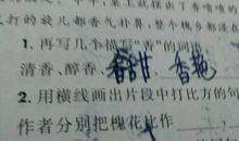 描写婴儿可爱的句子