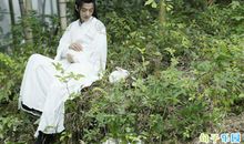 陈情令中人物一人一句经典台词 陈情令每个人物的经典台词