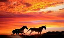 现实社会经典语录：不怕别人看不起，就怕自己不争气