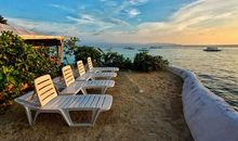 亲情拼搏坚持主题的句子