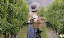 八月早上好句子 八月早安问候语正能量