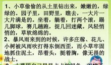 描写裙子的优美语句