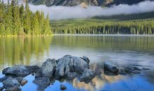 描写十一月景色的优美句子