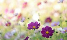 容易上热门的封面句子搞笑