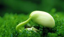 春天来了的说说朋友圈 适合春天发的说说