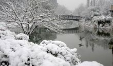 关于冬天下雪的说说