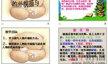 描写老人外貌的段落