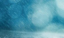 友情的句子:真正的友谊在别后