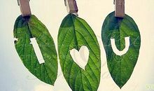 20句最火的感情句子