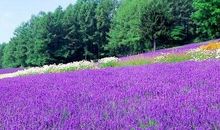 有哲理的一段话，有哲理的长句子