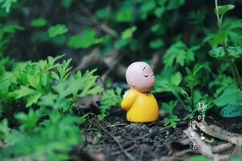 相信思想是发自内心的