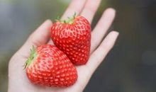 青春励志短句，青春励志的句子简短的