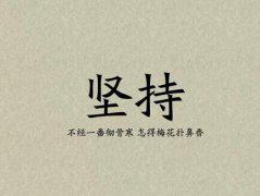 您不挣扎