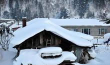 描写春夏秋冬的句子