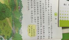 关于描写燕子的句子