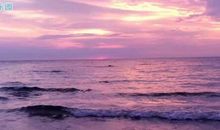 经典现实签名 人心现实的说说短句