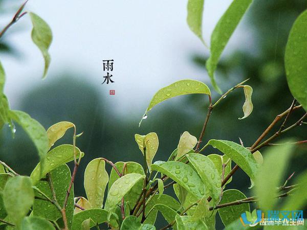 简介：毛毛雨轻而多尘
