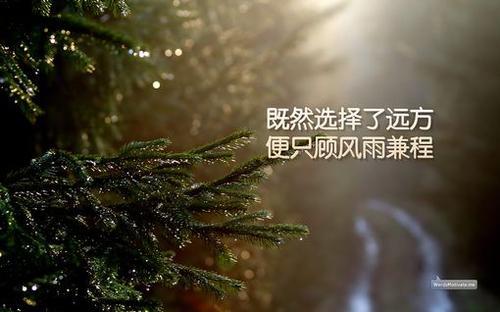 您可以找到成功的道路