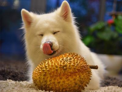 所有的绝望和孤独都过去了