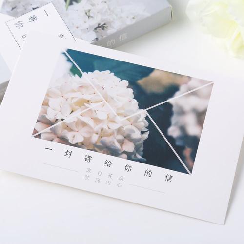 感恩节