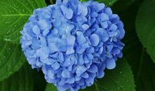 珍惜亲情的句子说说心情短语