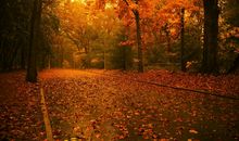 早上美容院短信问候语