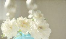 天气变冷注意保暖的问候短信