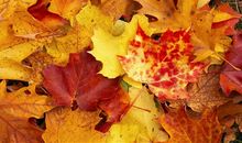 用心感受生活的名言 感悟生活美好的名言