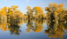 秋天天冷客户短信问候语