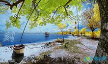 刻骨铭心的美句