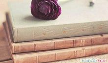 写亲情的温暖的句子