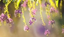 有关亲情陪伴的温暖句子