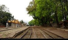 陪伴亲情句子说说心情