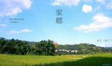 赞美家乡的名人名言