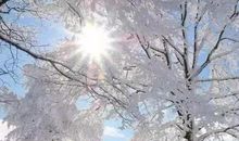 下雪佳句 2020下雪的句子