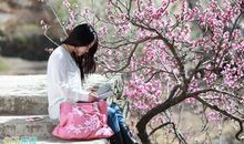 抖音上最火的感情句子