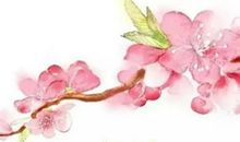 描写春花的诗句