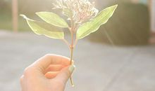 小满节气适合发朋友圈的句子