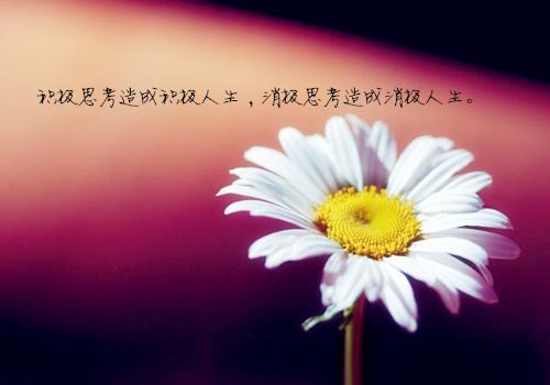 放心晒太阳