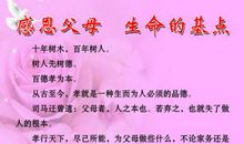 感恩父母的名言