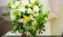 感恩旅途平安的句子