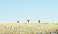 赞美姐弟亲情的句子