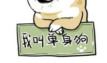 关于单身狗的说说