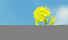 2020年祝家人身体健康的说说