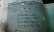 描写儿童情趣的诗句