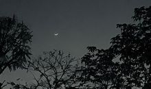 脑子一片空白的心情说说