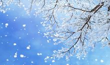 冬天心烦句子说说心情